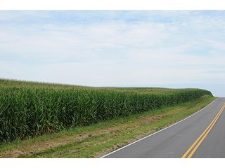 Property photo 13 - LAND AUCTION - 524+/- ACRES OFFERED IN 16 TRACTS IN MEIGS COUNTY, OHIO